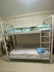 Blk 353 Yishun Jasmine (Yishun), HDB 3 Rooms #584060741